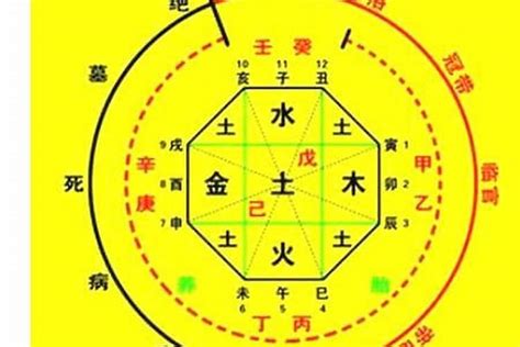 八字印星查詢|生辰八字算命、五行喜用神查詢（免費測算）